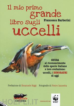 barberini francesco - mio primo grande libro sugli uccelli. guida al riconoscimento delle specie itali