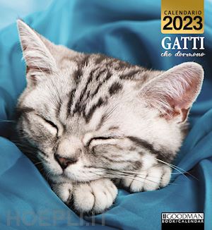 aa.vv. - gatti che dormono. calendario 2023
