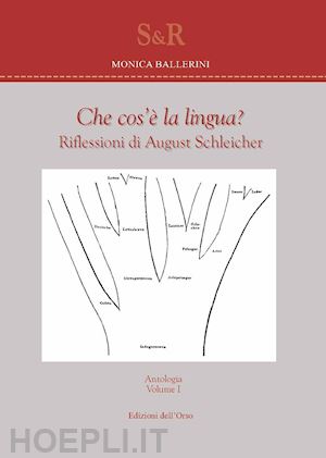 ballerini monica - che cos'è la lingua? riflessioni di august schleicher. ediz. critica