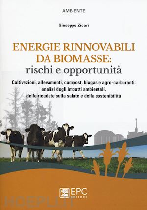 zicari giuseppe - energie rinnovabili da biomasse: rischi e opportunita'