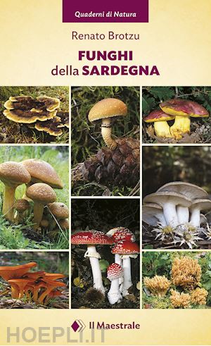 brotzu renato - funghi della sardegna. ediz. illustrata
