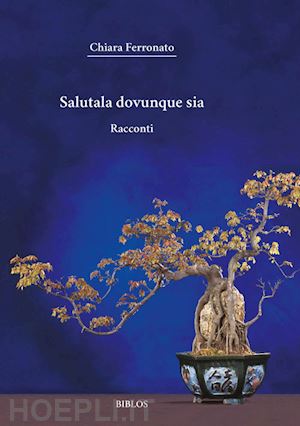 ferronato chiara - salutala dovunque sia