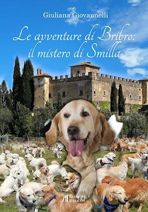 giovannelli giuliana - le avventure di bribro: il mistero di smilla