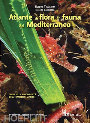 trainito egidio - atlante di flora & fauna del mediterraneo. ediz. illustrata