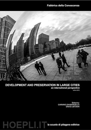 aa.vv. - development and preservation in large cities