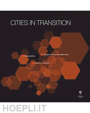 autori vari - cities in transition