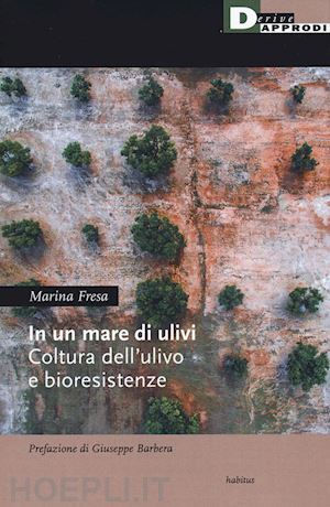 fresa marina - un in un mare di ulivi