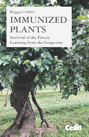 osler ruggero - immunized plants. survival of the fittest: learning from the grapevine