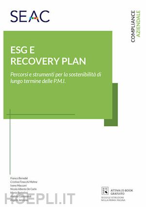 maccani ivano - esg e recovery plan