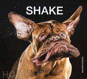 davidson carl - shake