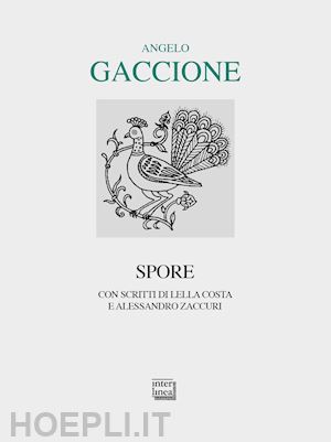 gaccione angelo - spore