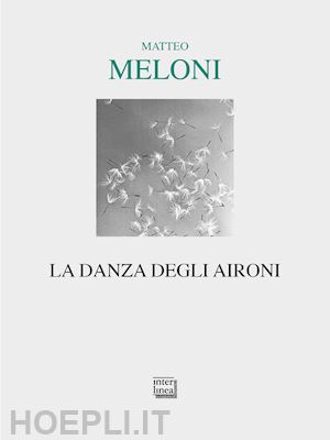 meloni matteo - la danza degli aironi