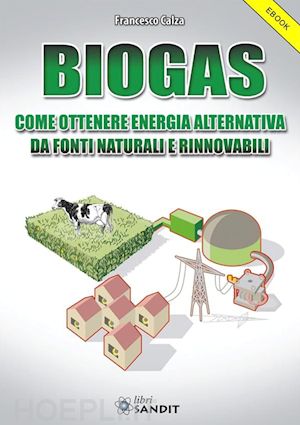 francesco calza - biogas
