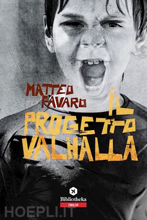 favaro matteo - il progetto valhalla