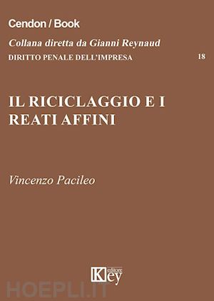 pacileo vincenzo - il riciclaggio e i reati affini