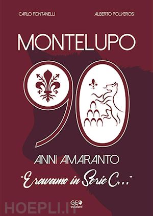  L'A-Z del calcio italiano (2015-16). Le carriere di 10.000  giocatori. Serie A, B, Lega Pro, D: 9788869990700: Carlo Fontanelli: Books