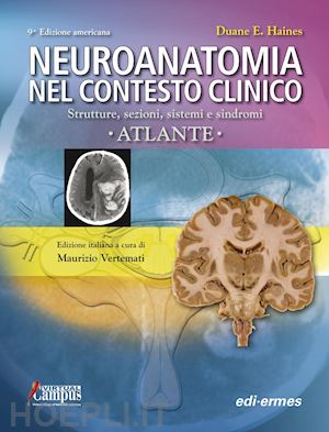 haines duane e.; vertemati m. (curatore) - neuroanatomia nel contesto clinico