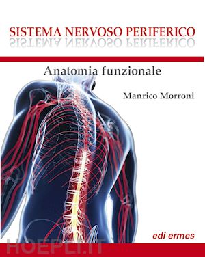 morroni manrico - sistema nervoso periferico. anatomia funzionale