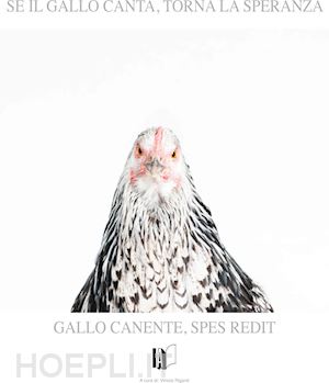 riganti v. - gallo canente - spes redit