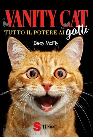 mcfly bexy - vanity cat