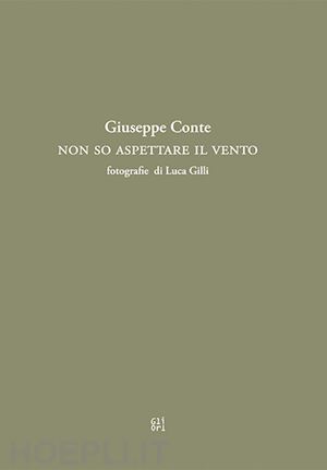 conte giuseppe - non so aspettare il vento