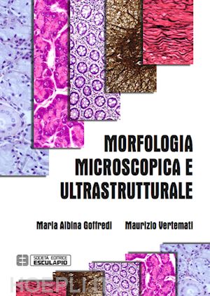 maria a. goffredi; maurizio vertemati - morfologia microscopica e ultrastrutturale