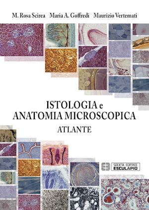 scirea m.r.  goffredi m.a.  vertemati m. - istologia e antomia microscopica atlante