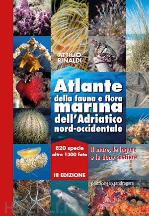 rinaldi attilio - atlante della fauna e flora marina dell'adriatico occidentale