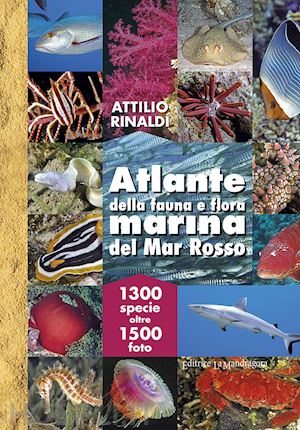 rinaldi attilio - atlante della fauna e flora marina del mar rosso.