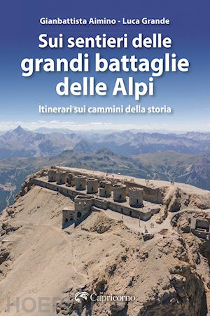 grande luca; aimino gianbattista - sui sentieri delle grandi battaglie delle alpi