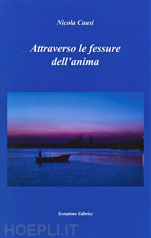 causi nicola - attraverso le fessure dell'anima