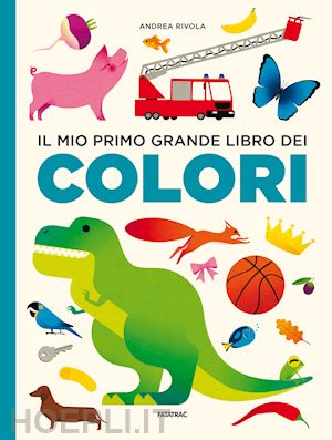 rivola andrea - il mio primo grande libro dei colori. ediz. a colori