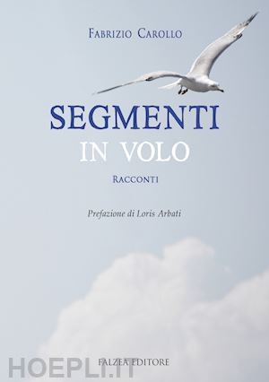 carollo fabrizio - segmenti in volo