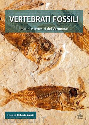 zorzin r. (curatore) - vertebrati fossili marini e terrestri del veronese