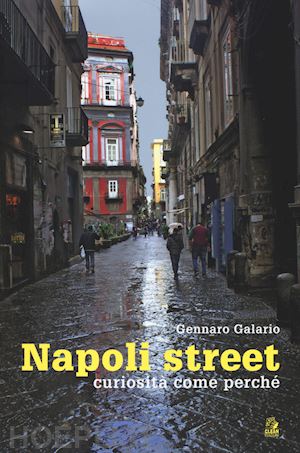 gelario gennaro - napoli street. curiosita' come perche'