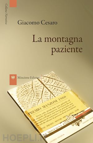 cesaro giacomo - la montagna paziente