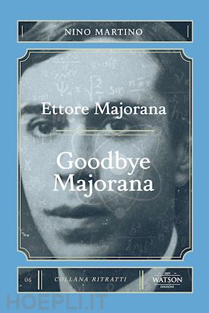 martino nino - ettore majorana. goodbye majorana