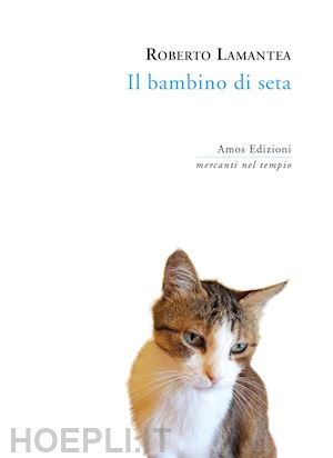 lamantea roberto - il bambino di seta