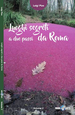 plos luigi - luoghi segreti a due passi da roma. vol. 2