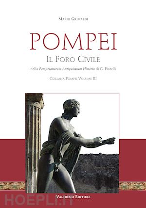 grimaldi mario - pompei. il foro civile