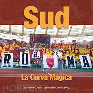 cacciari p. (curatore) - sud. la curva magica