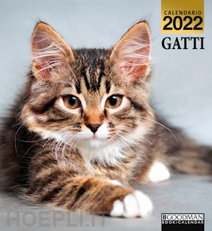 sprea book - gatti. calendario 2022