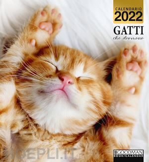 sprea book - gatti che dormono. calendario 2022