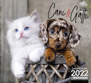 sprea book - cani & gatti. calendario 2022