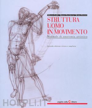 lolli alberto; zocchetta mauro; peretti renzo - struttura uomo in movimento. manuale di anatomia artistica