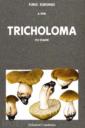riva alfredo - tricholoma