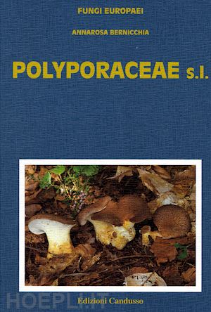 bernicchia annarosa - polyporaceae s.l. - fungi europaei 10