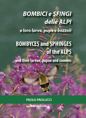 paolucci paolo - bombici e sfingi delle alpi e le loro larve, pupe e bozzoli. ediz. italiana e inglese