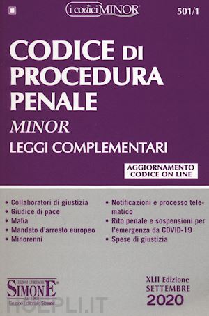  - codice di procedura penale - minor