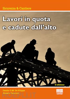 de filippo danilo g.m.; giomarelli rolando - lavori in alta quota e cadute dall'alto